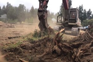 Norman Tree Care big machine performing stump removal with a special claw.