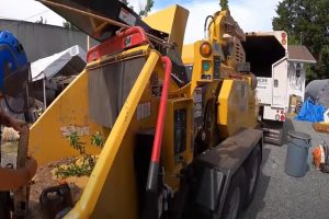 Norman Tree stomper machine being used to stomp and grind down trees.